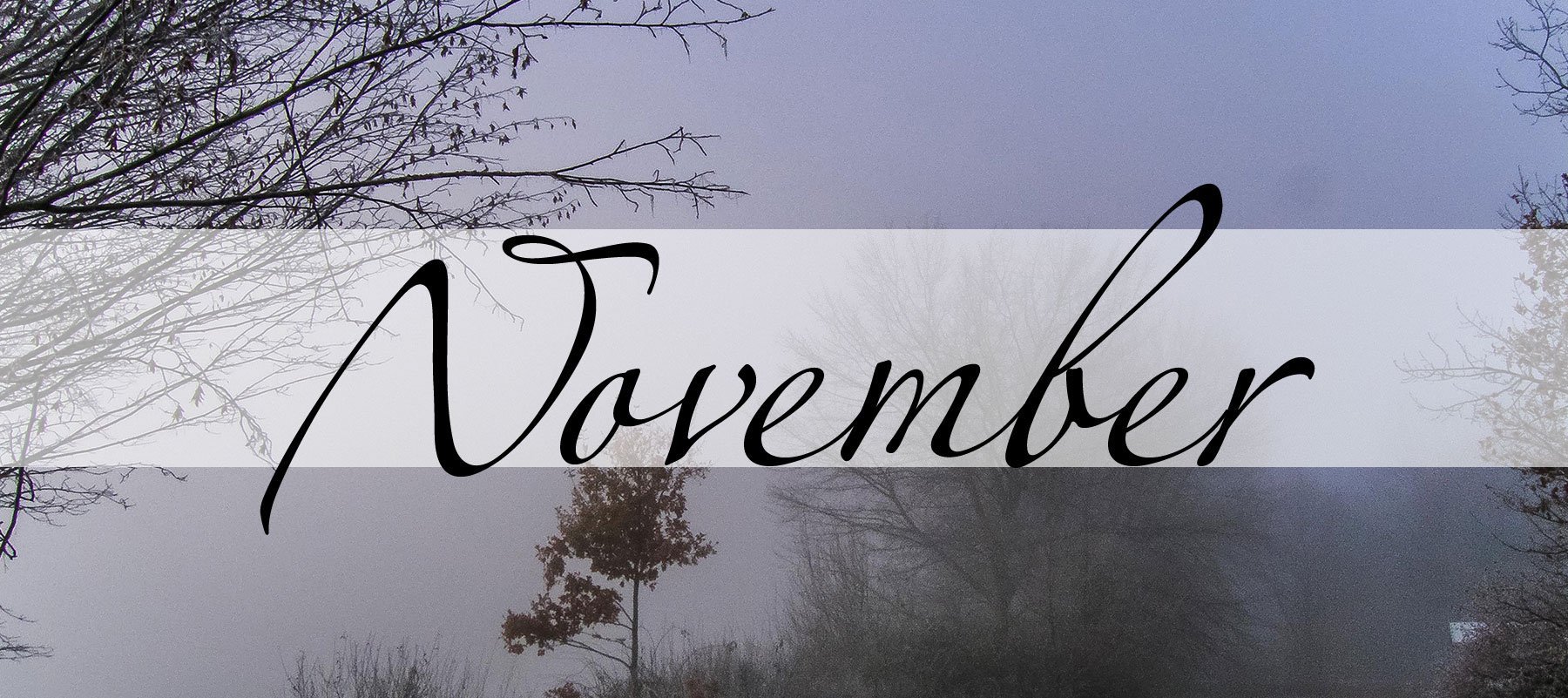 11_November.jpg - 336,32 kB