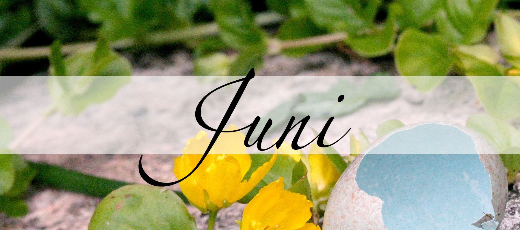 Juni