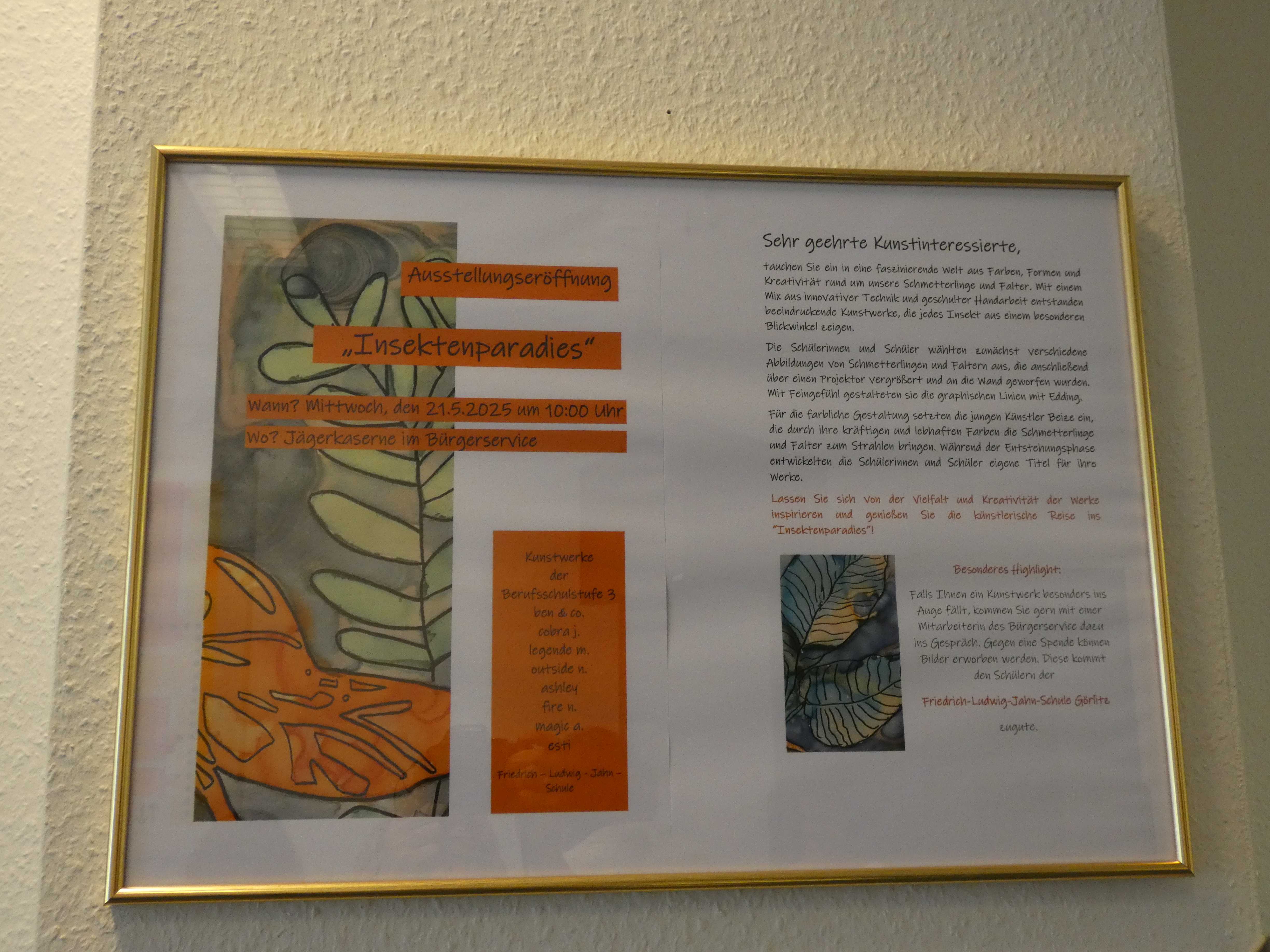 Insektenparadies 1 2025