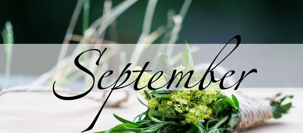 September